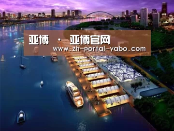 案例展示八