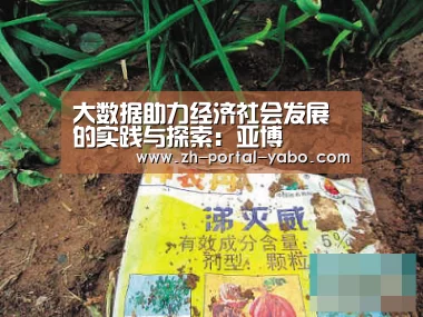 大数据助力经济社会发展的实践与探索:亚博(图3) 亚博