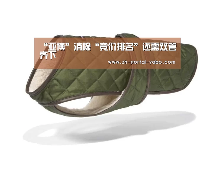 亚博体育官网