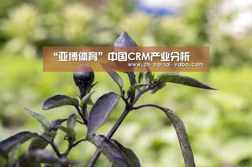 “亚博体育”中国CRM产业分析(图2) 亚博体育官网
