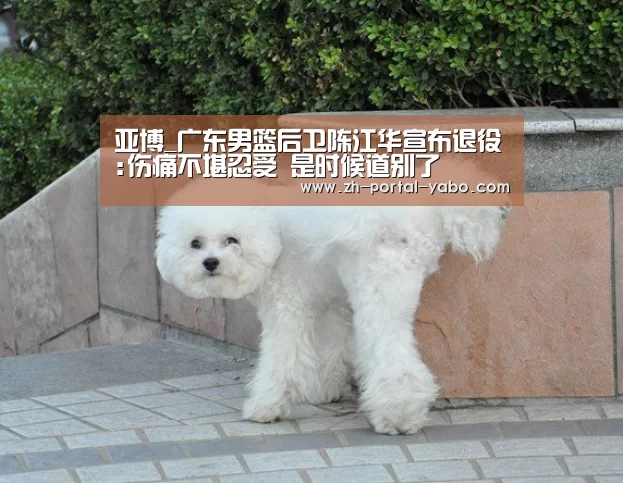 亚博官网