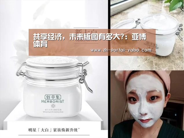 共享经济,未来版图有多大?:亚博体育(图1) 亚博官网