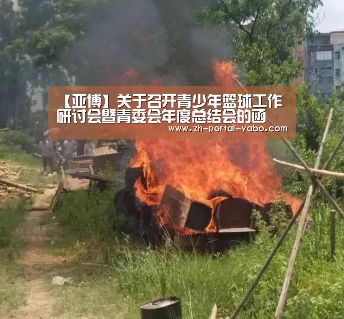 【亚博】关于召开青少年篮球工作研讨会暨青委会年度总结会的函(图4) 亚博官网