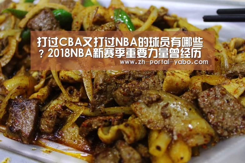 打过CBA又打过NBA的球员有哪些?2018NBA新赛季重要力量曾经历CBA洗礼:亚博体育官网(图4) 亚博体育官网